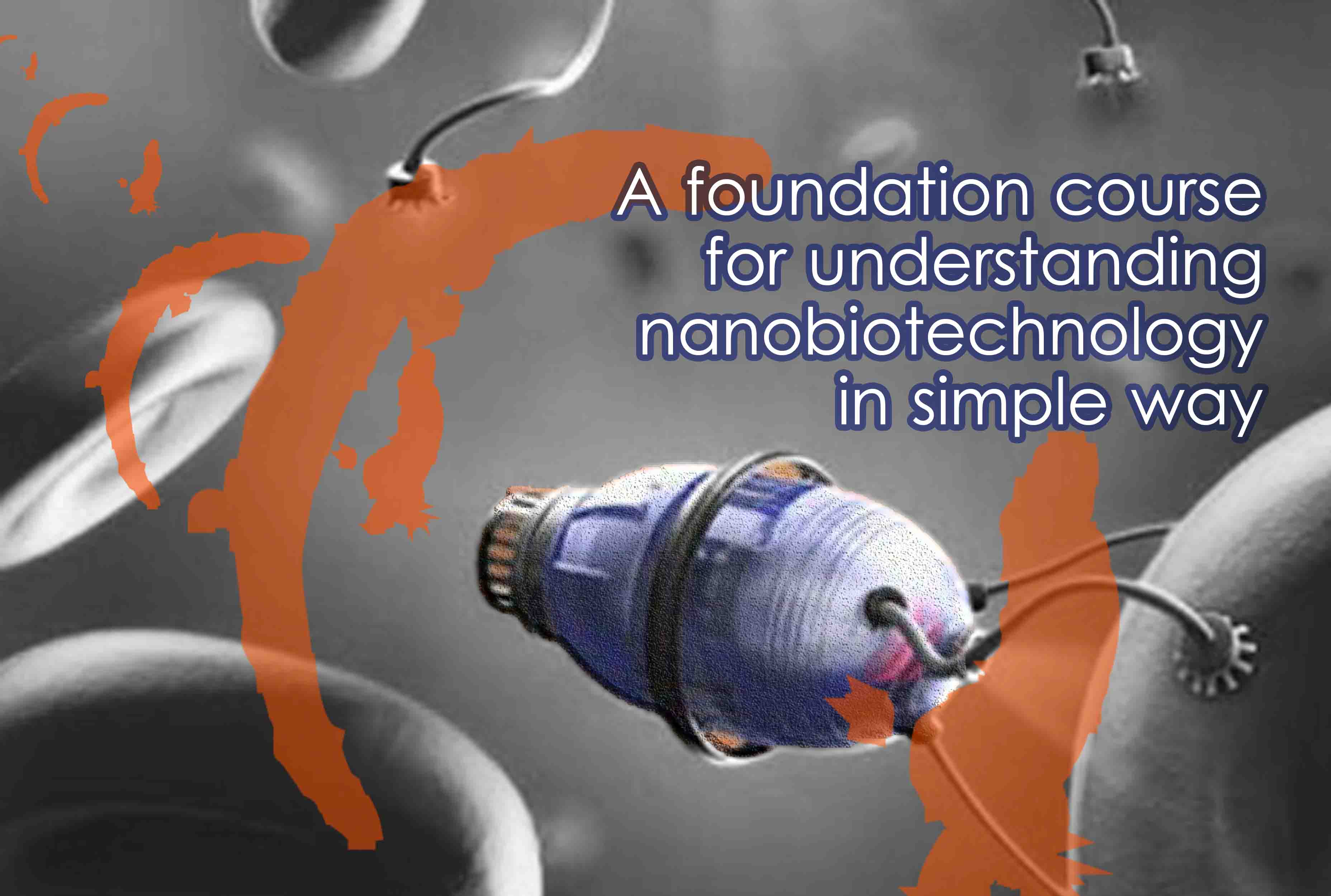 Certificate course on nanobiotechnology