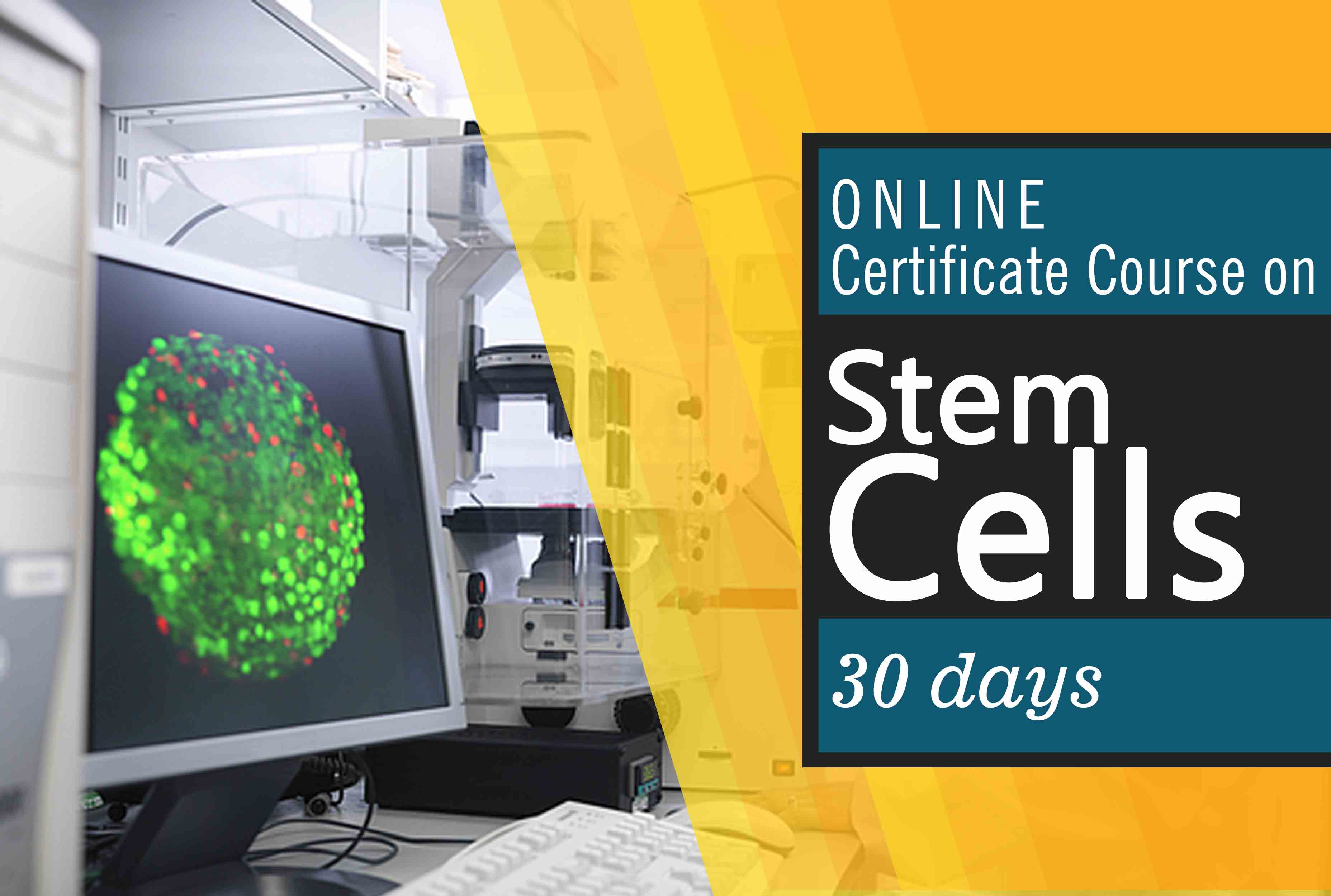 Certificate course on stem cells