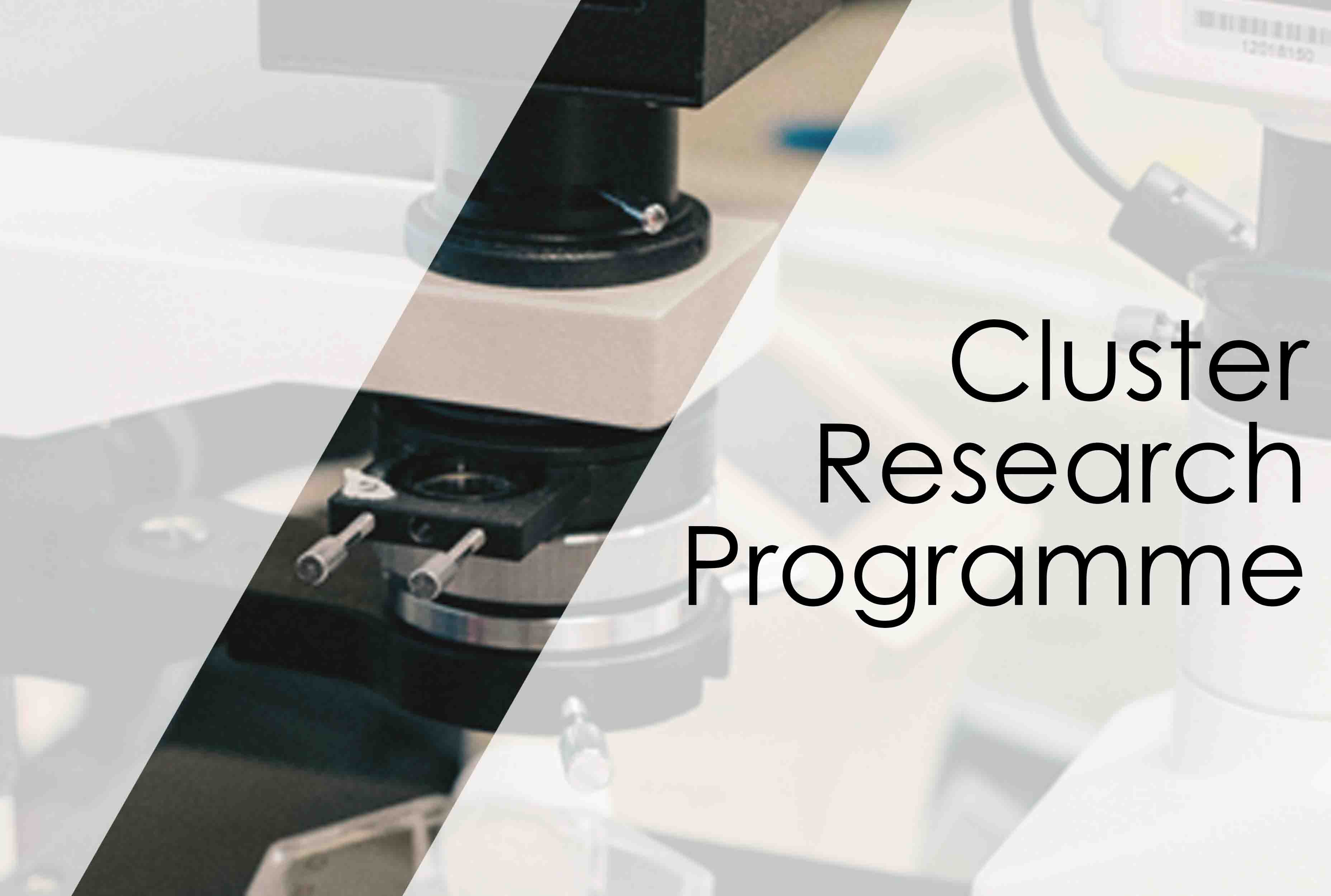 Cluster research programme