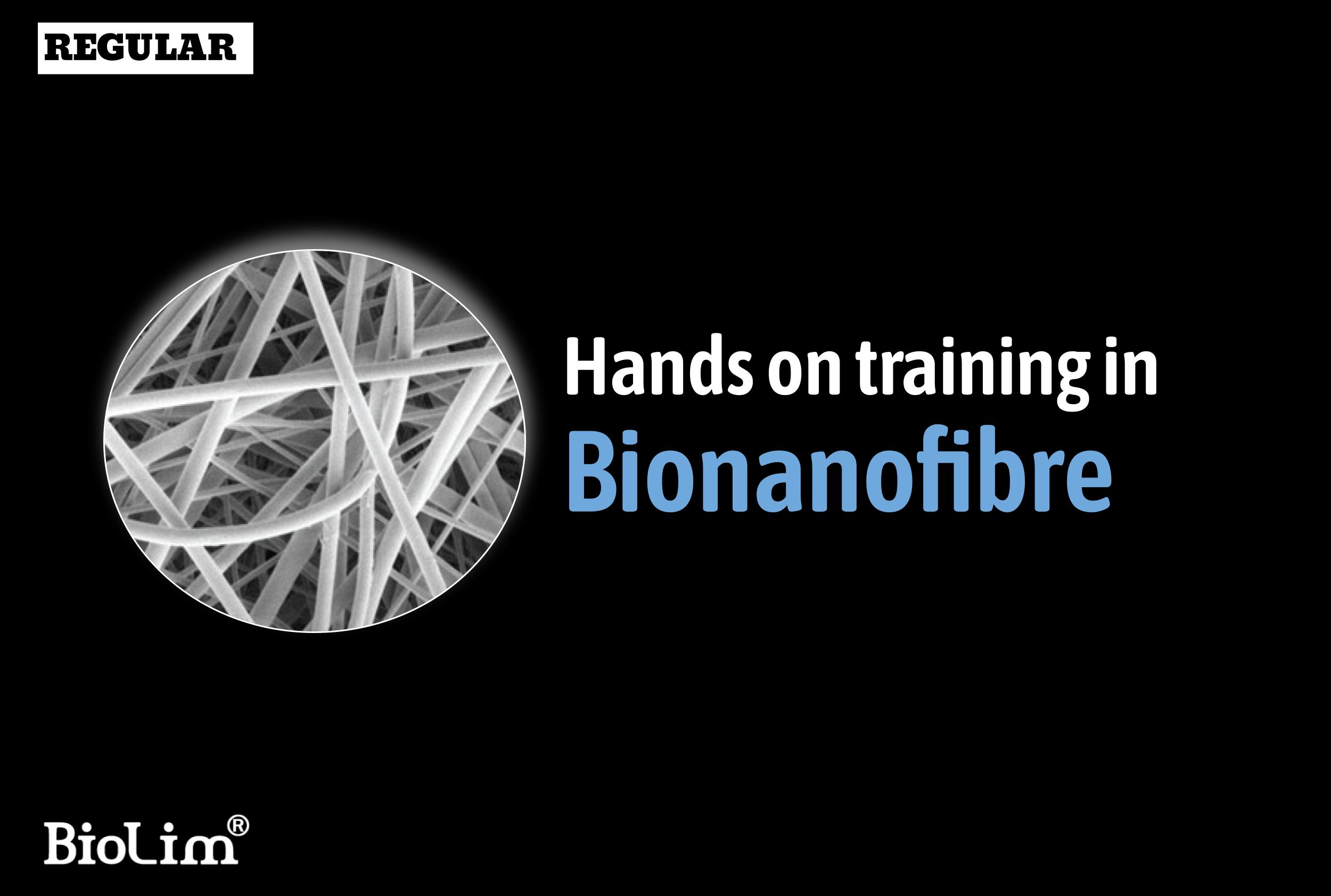 Hands on training in bionanofibre
