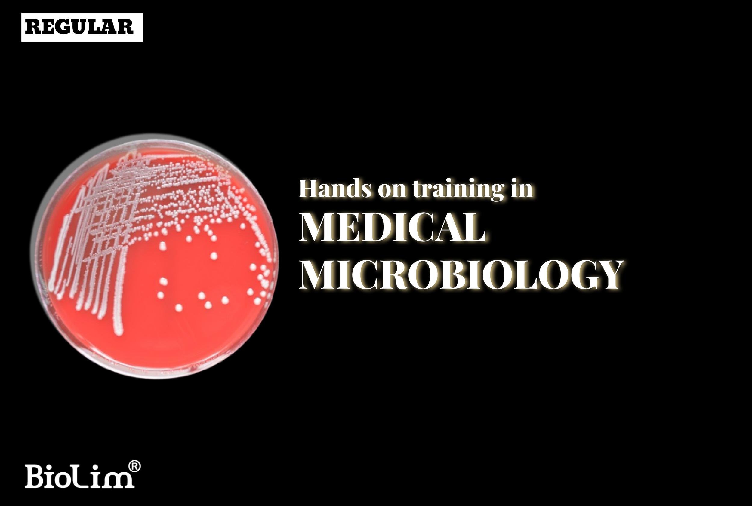Hands on training  in medical microbiology