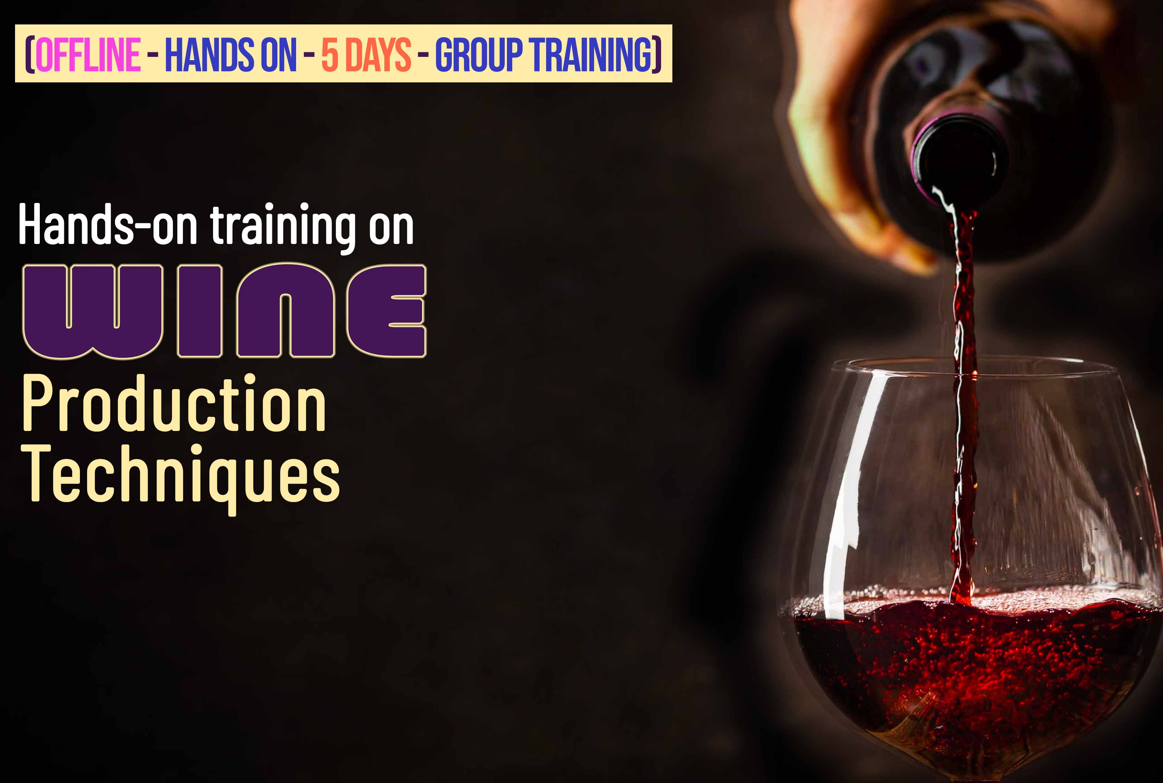 Hands-on training on wine production techniques
