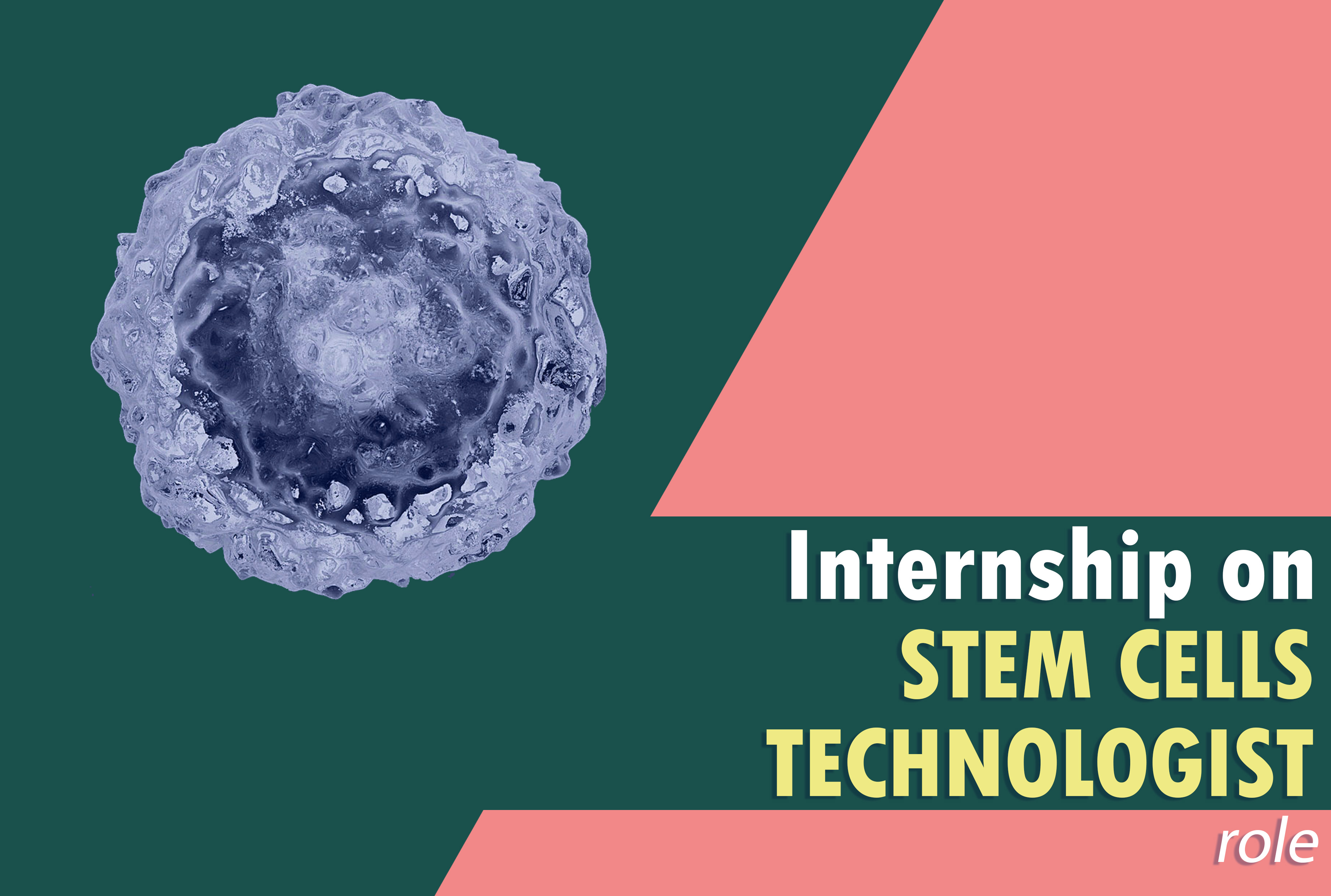 Internship on stem cells technologist role