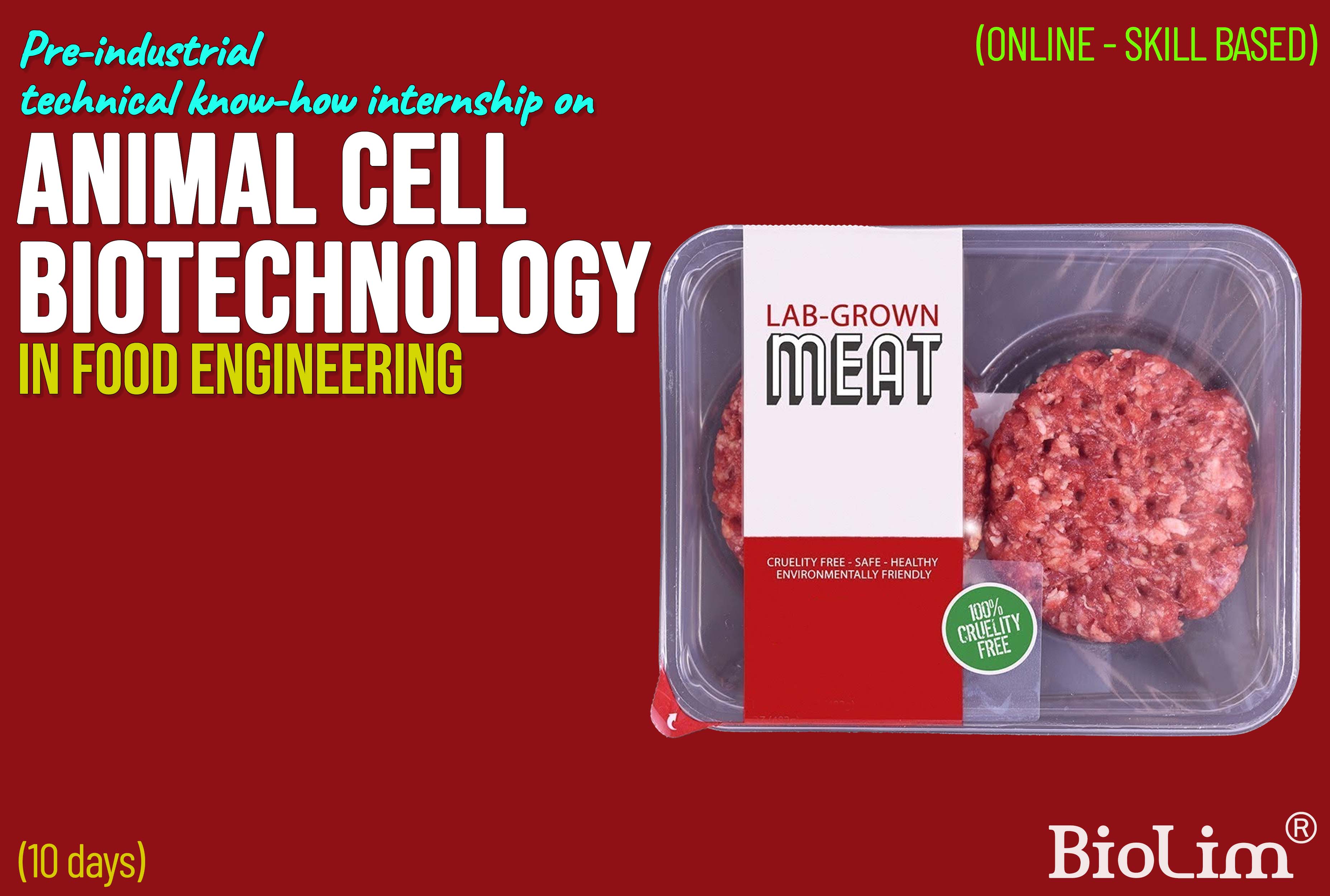 Internship on animal cell biotechnology in food engineering