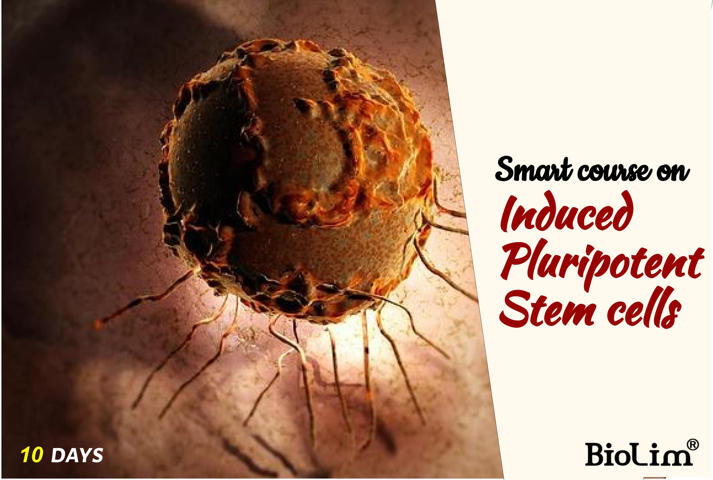 Smart course on induced pluripotent stem cells